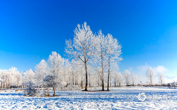 盘点十大冬日罕见奇观 你都见过吗? 9