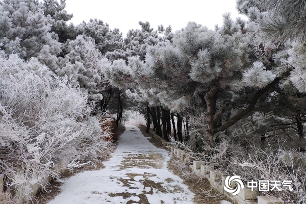 雪花进京了!北京延庆出现飘雪 体感阴冷 1